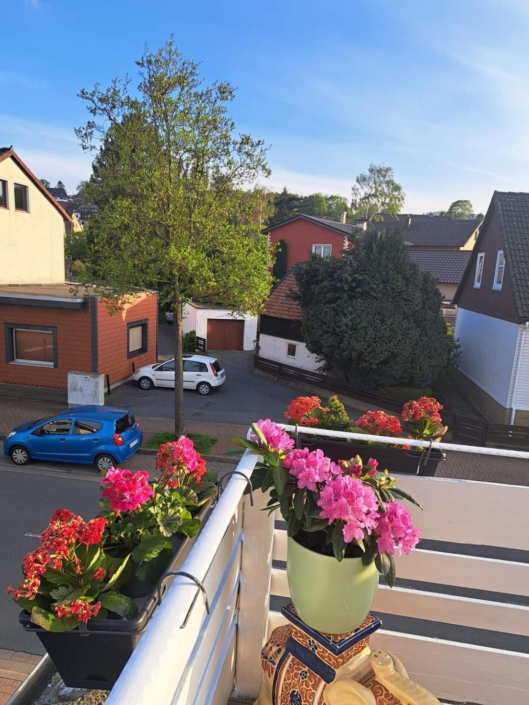 Fewo Im Harz Bad Harzburg Ngoại thất bức ảnh
